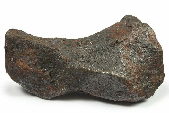 Canyon Diablo Iron Meteorite ( g) - Arizona #270518